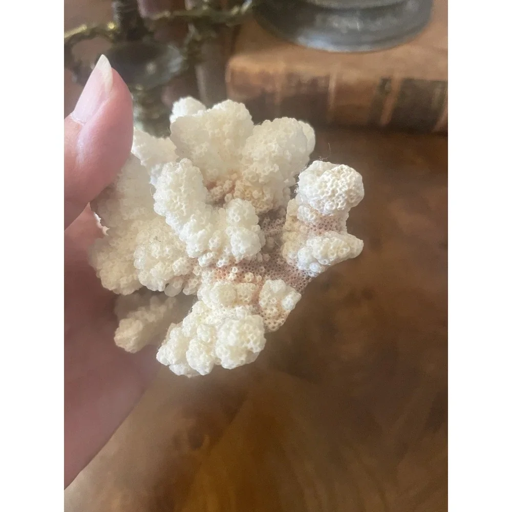 N/A natural decorative